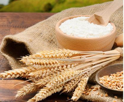 面粉制品改良劑主要有哪些？