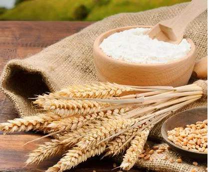 面粉技術(shù)改良的方法